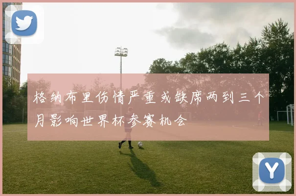 格纳布里伤情严重或缺席两到三个月影响世界杯参赛机会